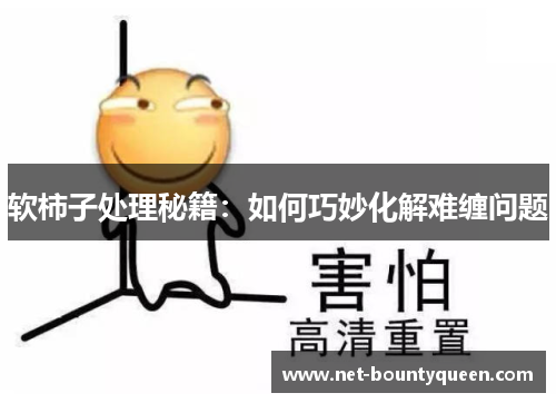软柿子处理秘籍:如何巧妙化解难缠问题 软柿子处理秘籍:如何巧妙化解难缠问题